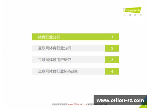 乐竞体育官方网站球员注册规定的重要性与实施策略分析